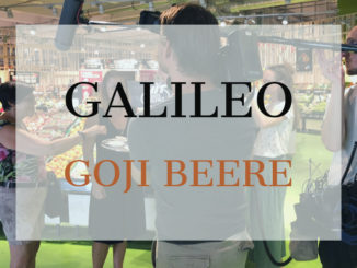 Galileo Goji Sendung